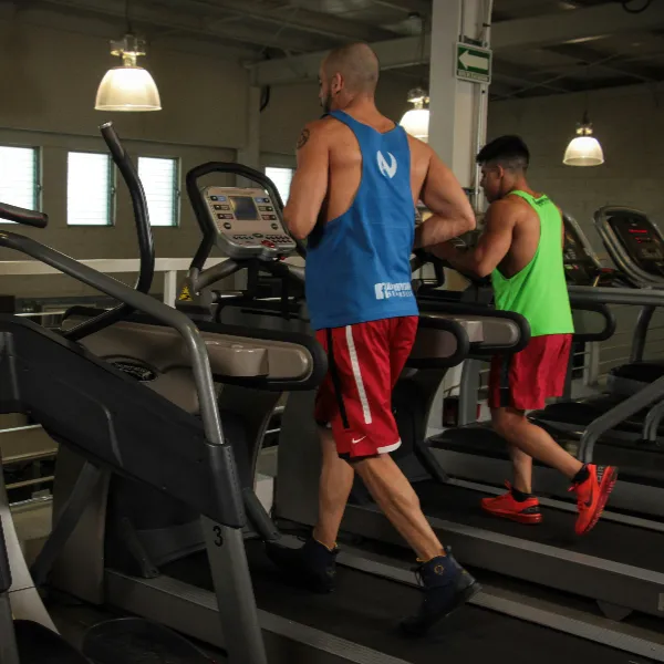 Consejos para Maximizar tu Entrenamiento en Cinta de Correr